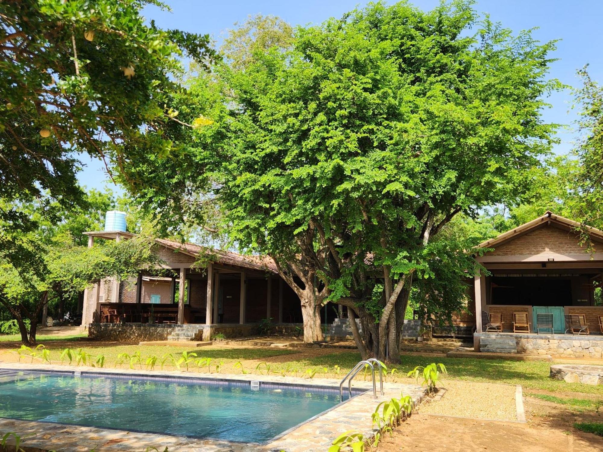 Bed and Breakfast Hide Yala Tissamaharama Esterno foto