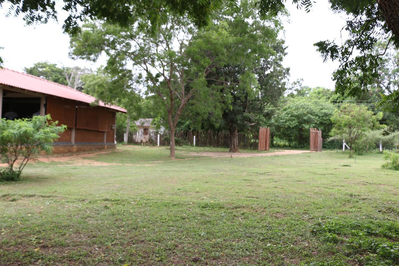 Bed and Breakfast Hide Yala Tissamaharama Esterno foto