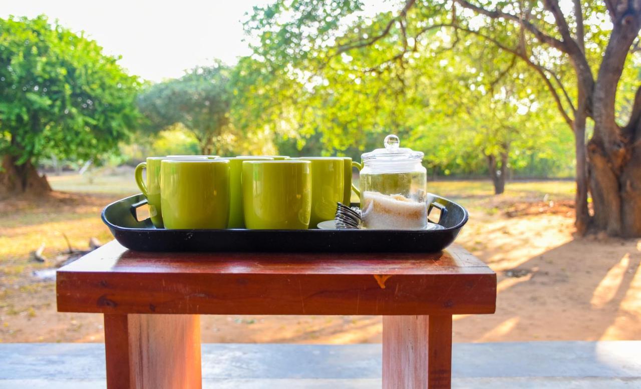 Bed and Breakfast Hide Yala Tissamaharama Esterno foto